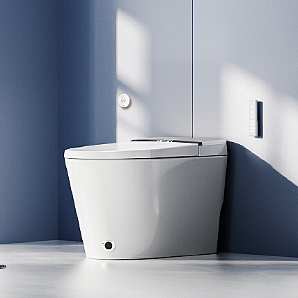 佳普乐(canpro)g3-300n非自动翻盖款智能马桶(pro3)