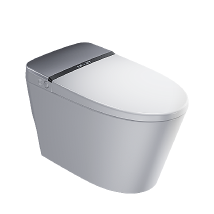 佳普乐(canpro)g3-300n非自动翻盖款智能马桶(pro3)