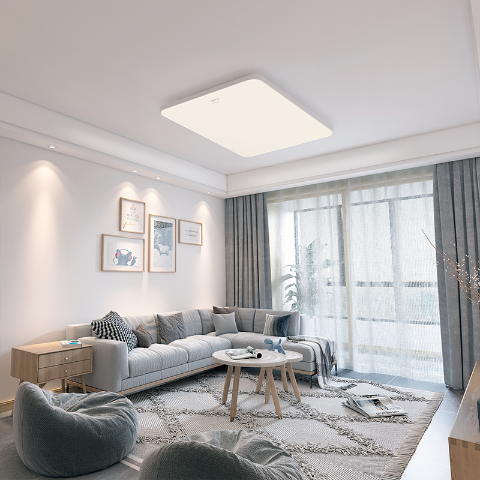 华为智选 欧普智能吸顶灯