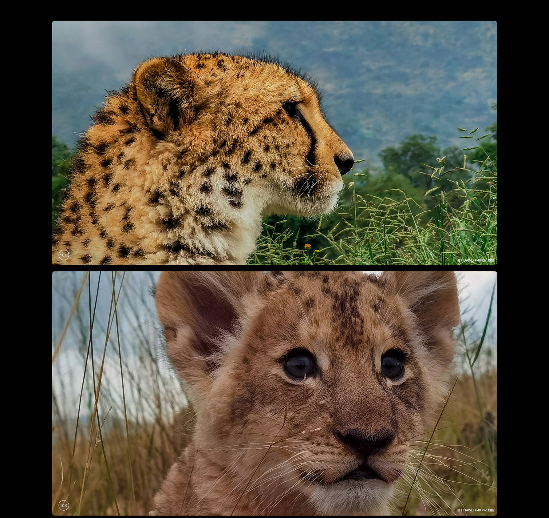 p40 pro 5g-湖北大业通信器材有限公司