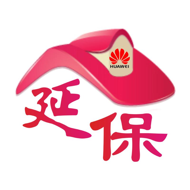 延保服务,奥迪延保服务,延保_大山谷图库