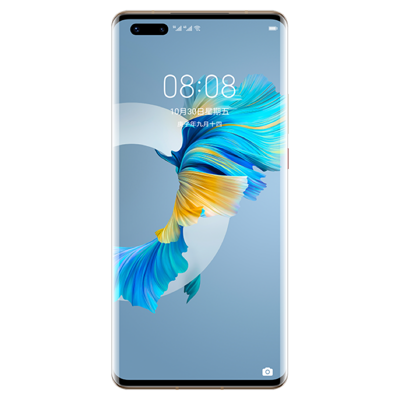 HUAWEI Mate 40 Pro 5G 全网通8GB+128GB（秋日胡杨）