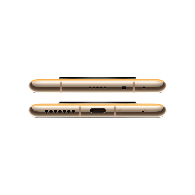 HUAWEI Mate 40 Pro 5G 全网通8GB+256GB（秋日胡杨）