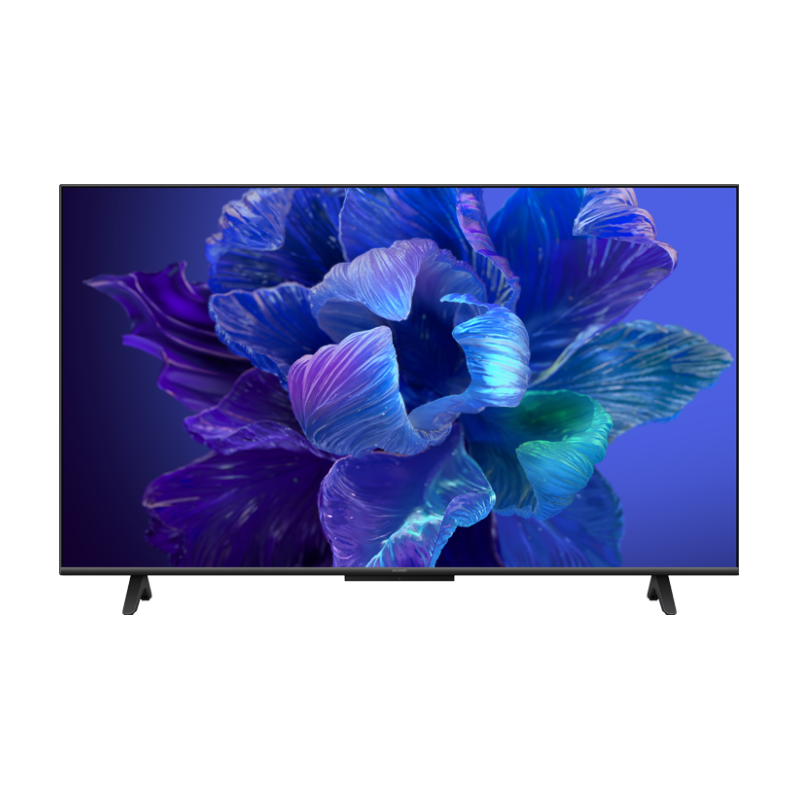 【盆栽】真柏 S755