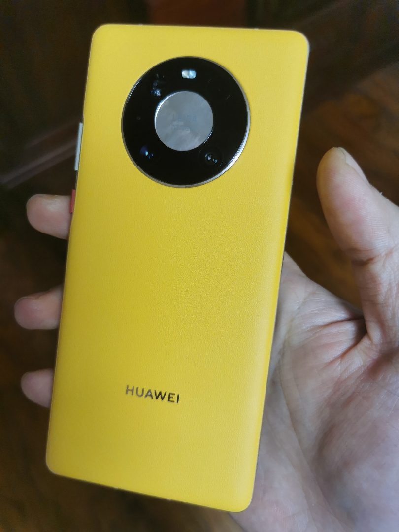 HUAWEI Mate 40 Pro 5G 全网通8GB+256GB（秋日胡杨）