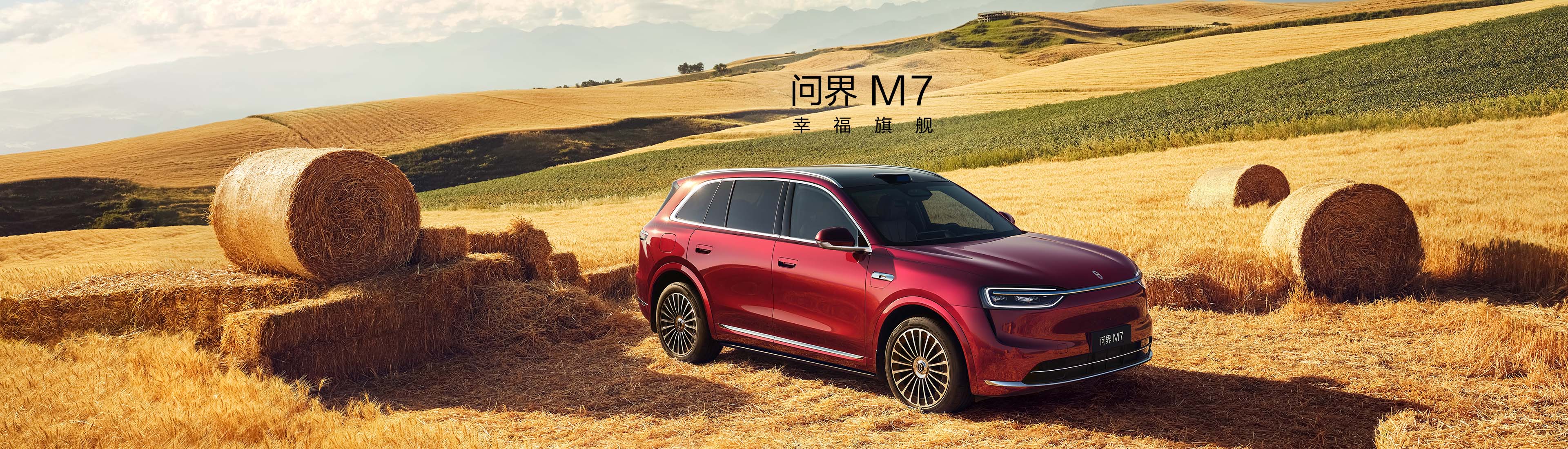 银杏叶源码网-网站游戏源码-实用软件